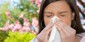 senná rýma a alergie