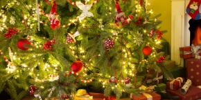 stromek na vánoce