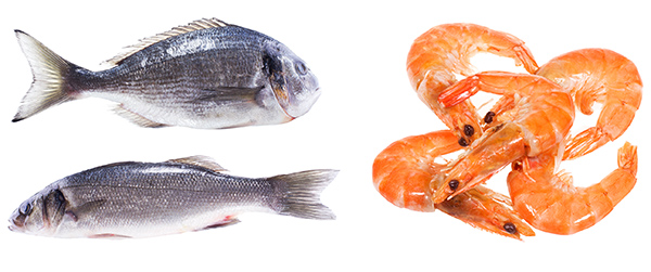 ryby a mořské plody